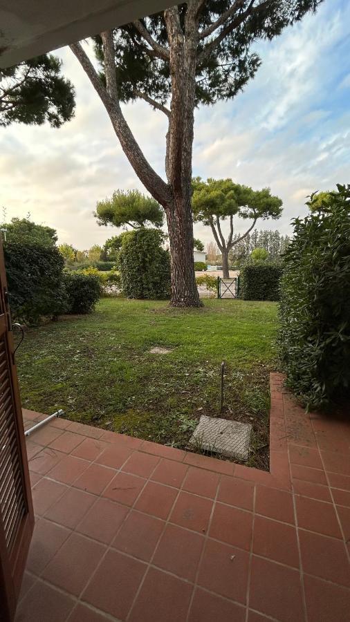 Apartaments Marina del Cavallino Cavallino-Treporti Exterior foto